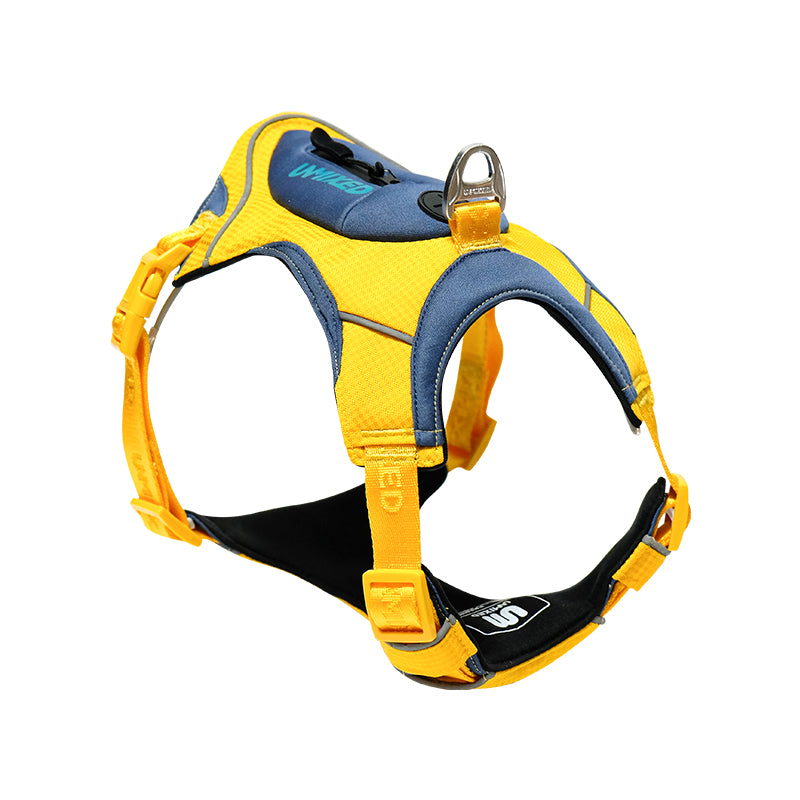 UNMIXED City Explorer Harness with Reflective Stripe