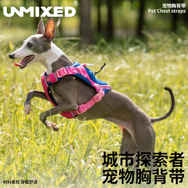 UNMIXED City Explorer Harness with Reflective Stripe
