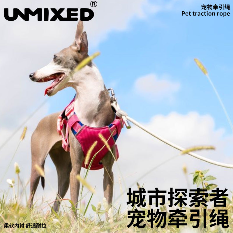 UNMIXED City Explorer Rope Leash