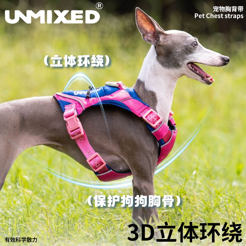 UNMIXED City Explorer Harness with Reflective Stripe