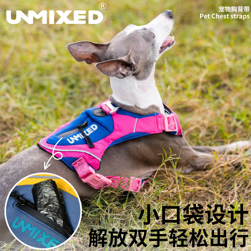 UNMIXED City Explorer Harness with Reflective Stripe