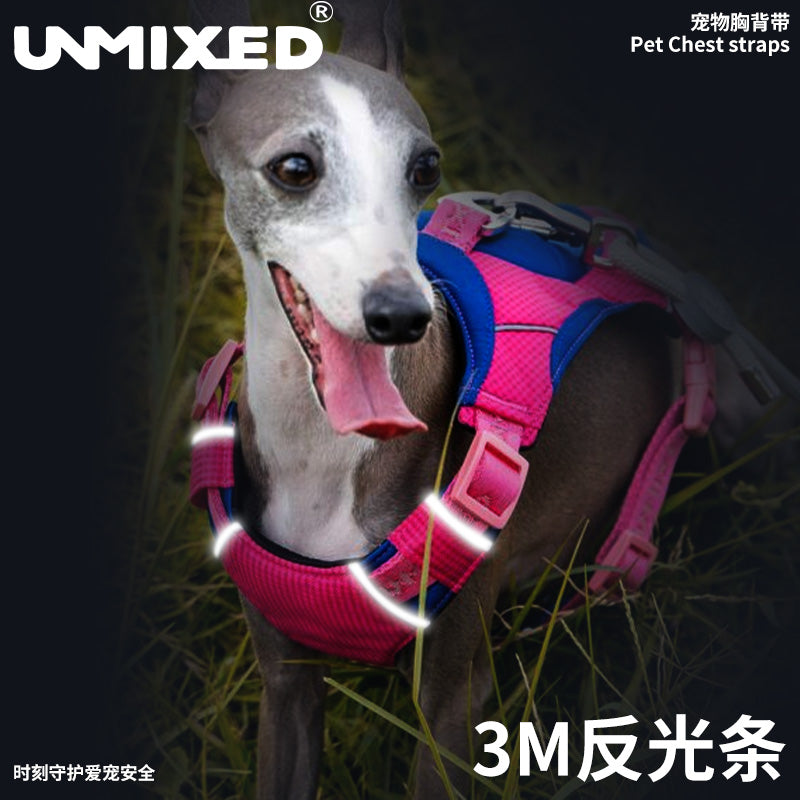 UNMIXED City Explorer Harness with Reflective Stripe